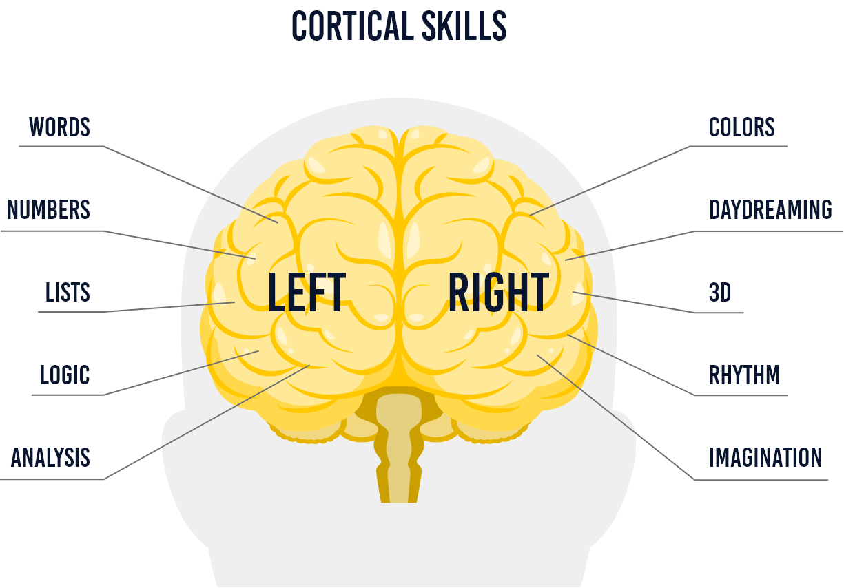 The brain's natural architecture and mind maps