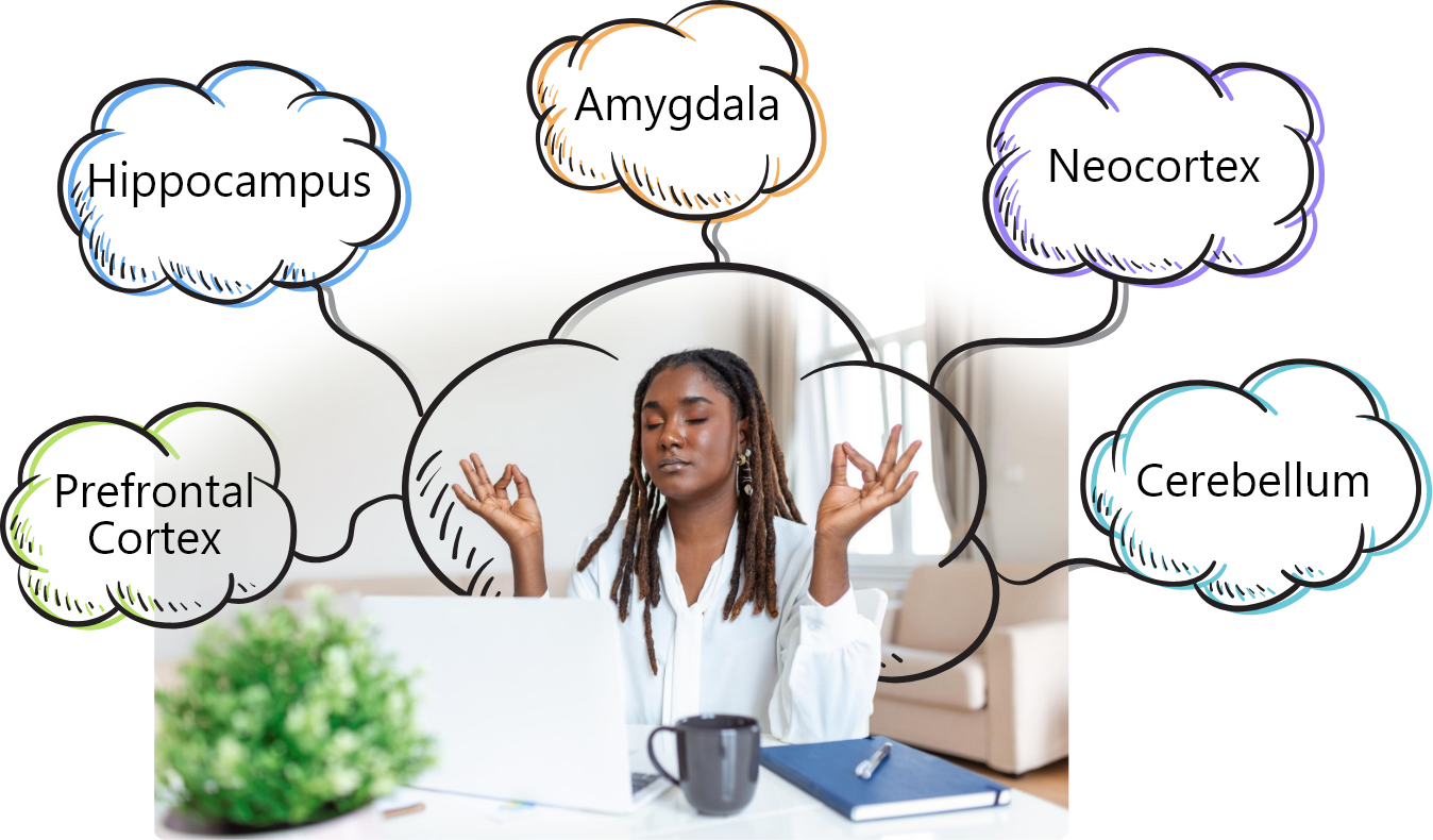 Theory behind mind maps